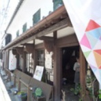 幕末・明治の肥前　こぼれ話