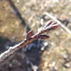 せきぐちゆき オフィシャルブログ -由紀帳-