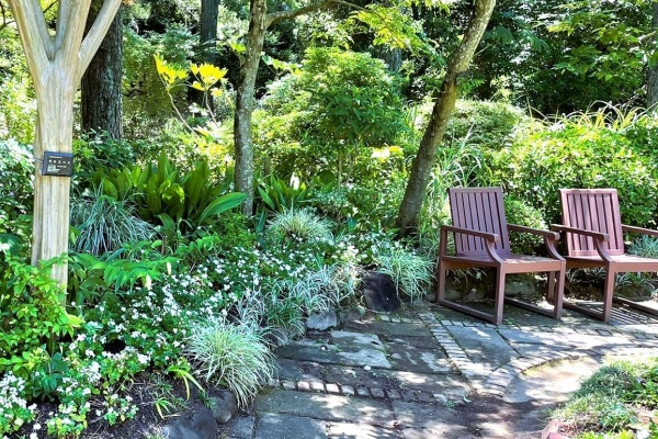 オープンガーデン サン フラワー宮崎 活動報告