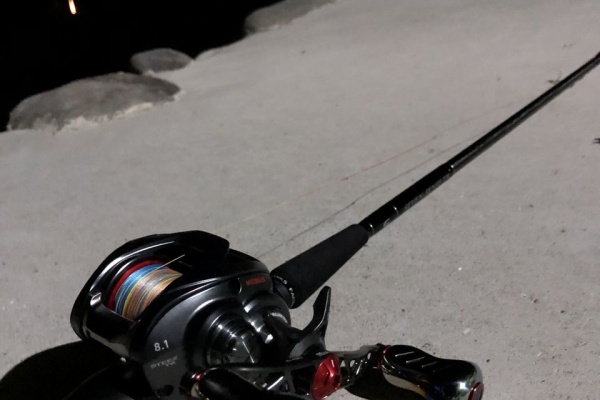 ガマさん釣行記 ベイトシーバス