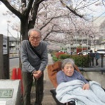 らいふ武蔵新城のせせらぎ日記