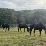 『体温』の画像
