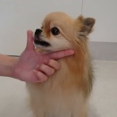 お勉強の時間【青色の教室】🐶💙