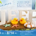 夏季休業🌻