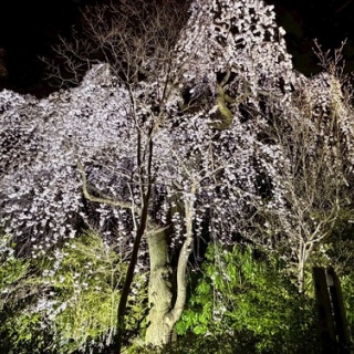 ２りんかんブログ