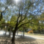 芦屋の不動産屋ブログ『芦屋Walker』