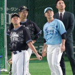 一緒に阪神タイガースを応援しよう！