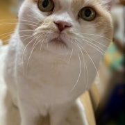 長靴が埋もれるほどの大雪です