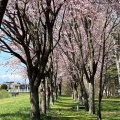 十勝川河川敷　【帯広市】
