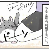 『壁ドンしがちなチンチラ、わさび先生』の画像