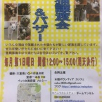 アニマルレスキュー☆チームマンセル