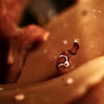 南越前ダイビングパーク　ブログ！