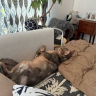 おじさんの休日的な…