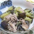 コサギ　～巣ごもり玉子の朝ご飯、豚肉とナスの煮物の晩ご飯～