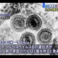 【朗報】うつ病を誘発するタンパク質を合成するヒトヘルペスウィルスが発見される