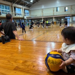 東海心のバレー