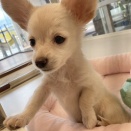 本日のおすすめの子