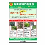 『有害植物に要注意！！』の画像