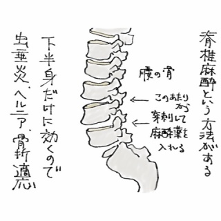 50代おかん看護師