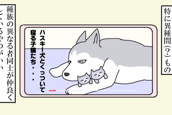 東京ひとり暮らしの小西の記録 自宅にいる小西