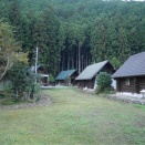 東吉野ログ生活837日目・椎茸はまだまだ