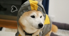 しばしお別れ…