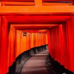 愛が何だとか言うわけでもないけど