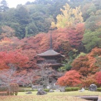 ふくちゃんのラジコン日記