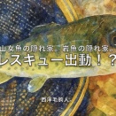 【フライフィッシング】レスキュー出動！？