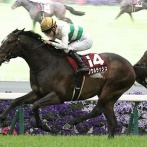 【競馬予想】[2] 第42回マイルチャンピオンシップ(GⅠ) /2025