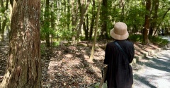 心身ともに癒された！4年ぶりのお伊勢参り。