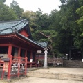 男体山トレイル