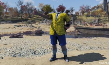 Fallout 76：パッチ14までの不具合の確認とまとめ