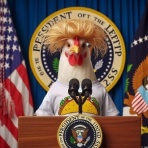 いつも感謝している高年の独り言－続続編