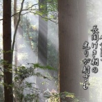 フォト短歌游々日記