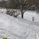 HAPPY MALIBU  マリブ盛岡