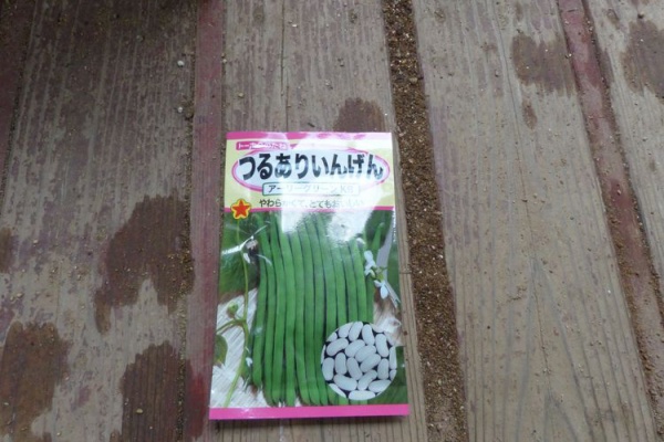 毎日が日曜 晴耕雨読な日々 インゲン