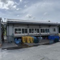 宮城県女川にて新規生牡蠣選別工場直営仮オープン