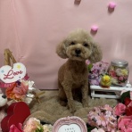 ペットショップワンラブ　カインズ北本店　スタッフブログ　埼玉県北本市