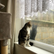 カーテンの長さ、どのくらいがベスト？