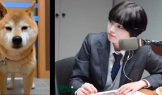 【欅坂46】平手友梨奈ちゃん、ラジオで犬と会話しはじめる…