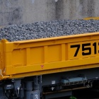 『36EDによる電車・スカイツリー・東京タワー・カルガモ　2020/04/28』の画像