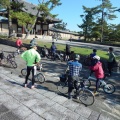 ゆるゆるミニベロOFFでコスモス&カレーRideのお誘い