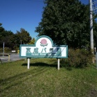 『千葉・京成バラ園さんぽ　2023/10/29』の画像