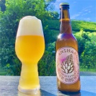 ���Ų���ȿ��ϧ�ӥ����ԡ����ۥ磻��IPA�٤β���