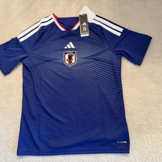 テキサス移住のひきこもごも