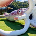 クロナグラの旅ブログ