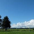 入道雲　空に湧く怪獣の話