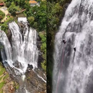 Nicheee! [ニッチー！]　｜　テレビリサーチ会社がお届けする情報サイト