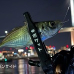 ぽけっとの小物GOMOKU日誌 〜博多湾〜